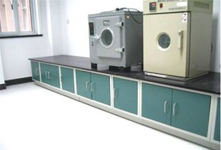 淄博實(shí)驗(yàn)室板木藥品柜 科超供應(yīng)